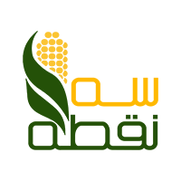 logo3noghte